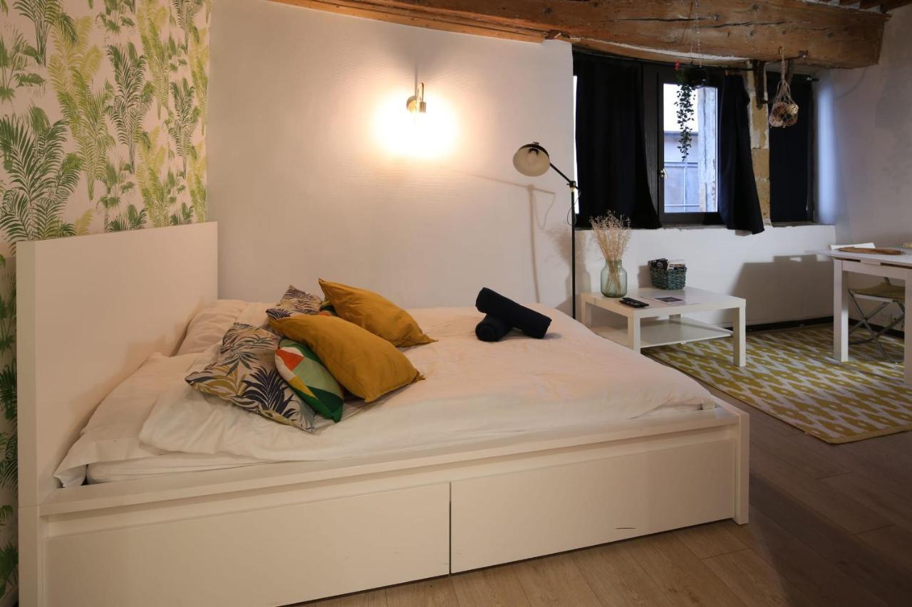 Charming Studio Centre Ville De Ліон Екстер'єр фото